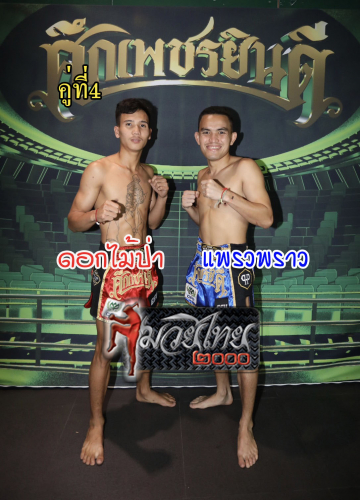 Dokmaipa_Praewpraw_4-1