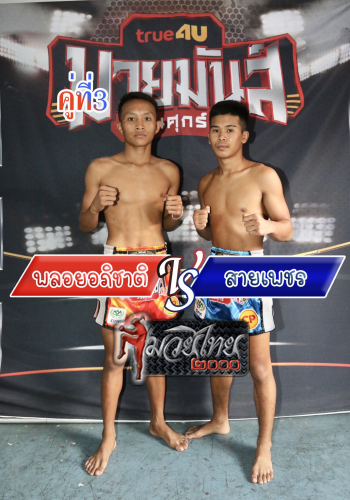 Ployapichat_Sakaiphet_3-1-1