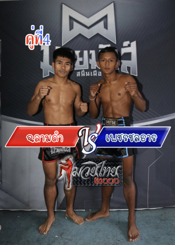 Chalamdam_Phetchollathan_4-1