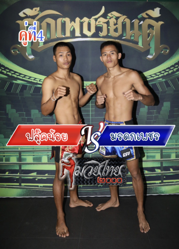 Fluknoi_Moradokphet_4-1