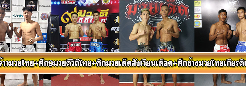 ศึกจ้าวมวยไทย+ศึก9มวยดีวิถีไทย+ศึกมวยเด็ดสังเวียนเดือด+ศึกช้างมวยไทยเกียรติเพชร