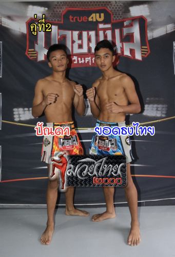 Panda_Yodtongthai_2-1
