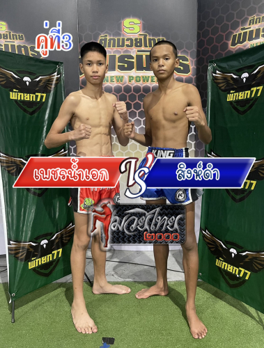 Petnamek_Singdam_3-1