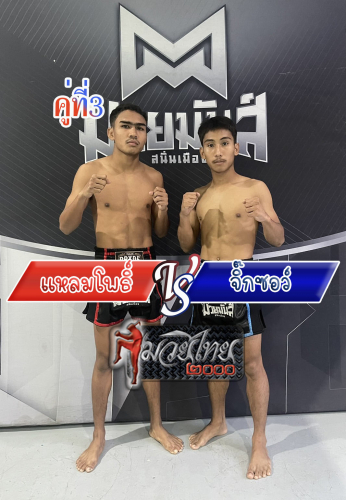 Lampo_Jiksaw_3-1