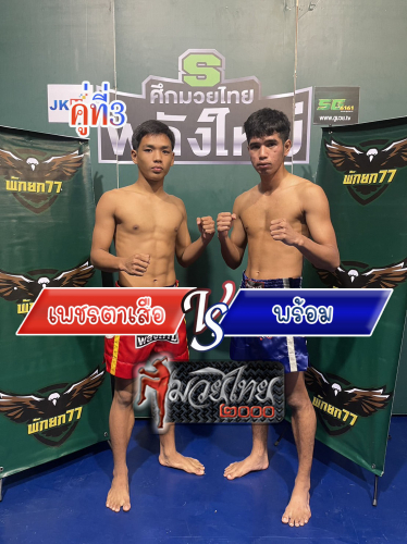 Phettasua_Prom_3-1