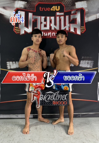 Dokmaipar_Yodkla_4-1