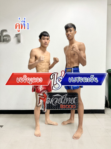 Jaroenduang_Phettawan_1-1_0