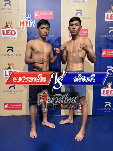Phettasua_Krichmani_3-1