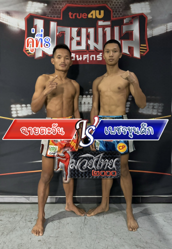 Chaitawan_Phetkhunsuk_8-1