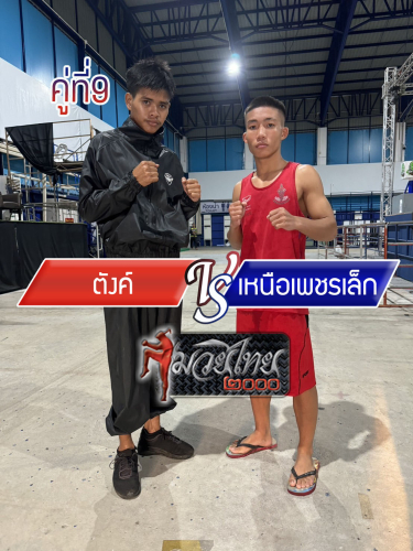 Tang_Nerphetlek_9-1