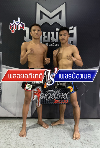 Ployapichat_Phetnongner_4-1