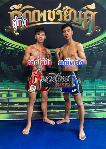 Dokmaipar_Manedaeng_4-1