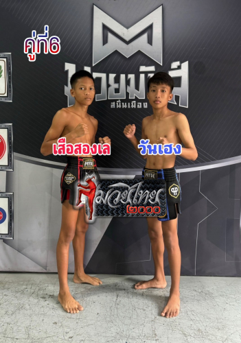Sersongle_Wanheng_6-1