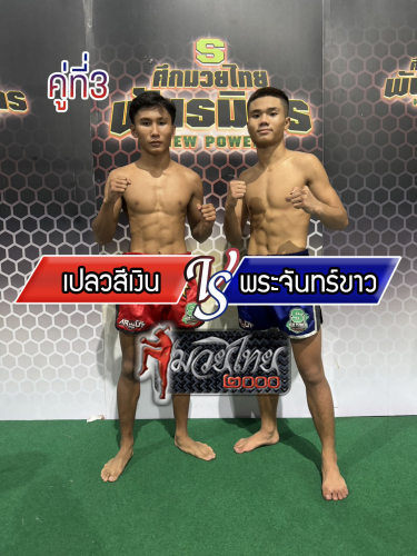 Plewsingoen_Prajankao_3-1