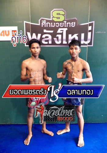 Yodphettrang_Chalamthong_6-1