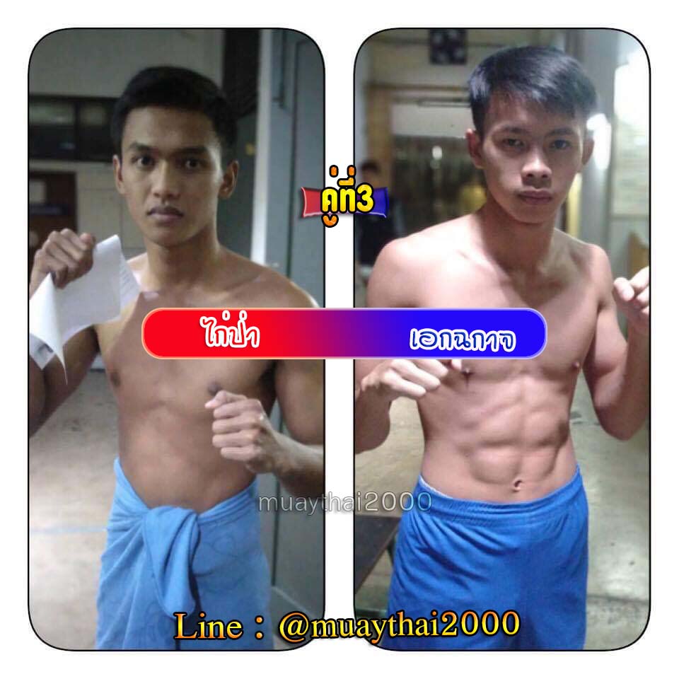 ไก่ป่า-เอกฉกาจ