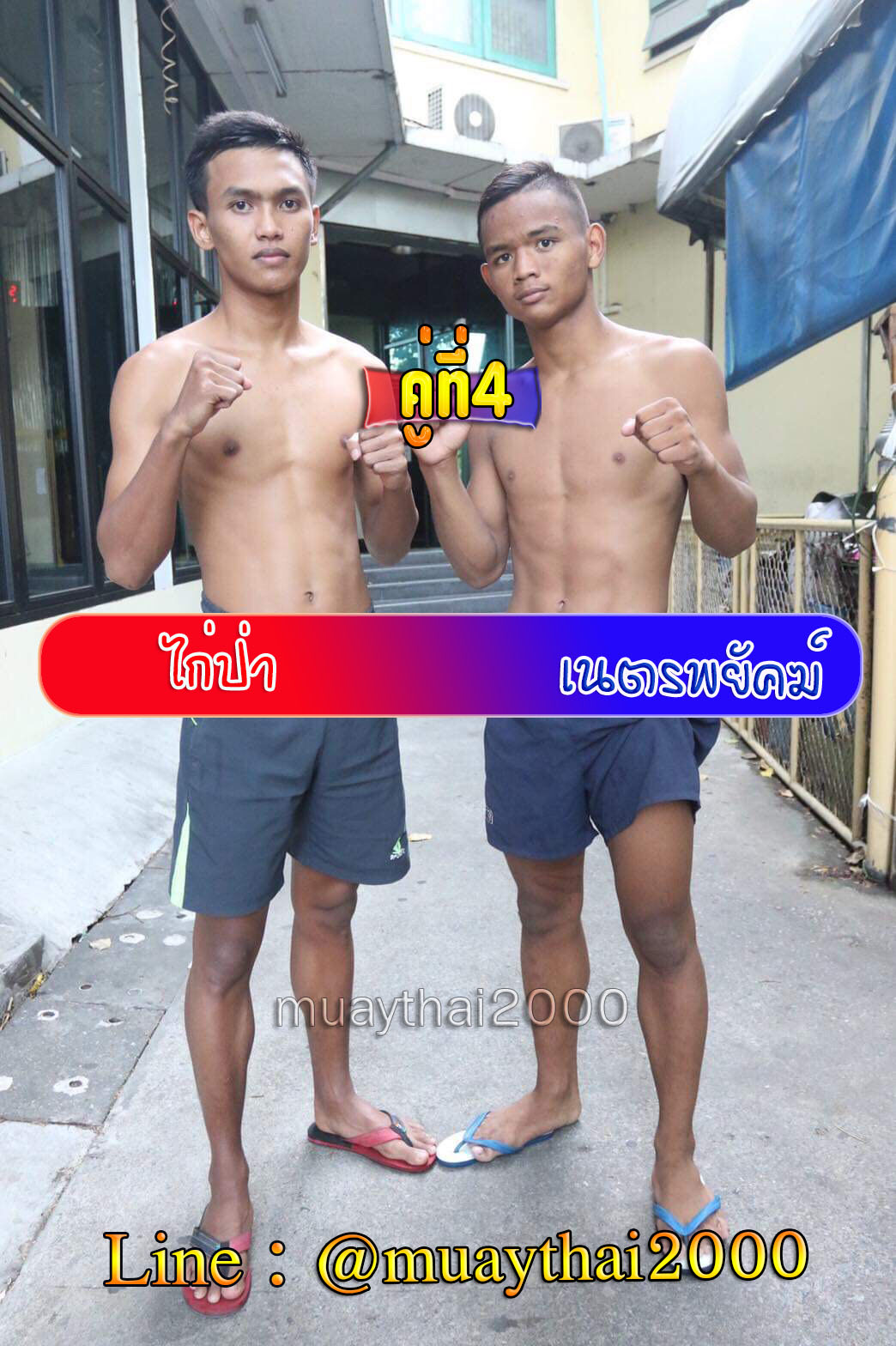 ไก่ป่า-เนตรพยัคฆ์